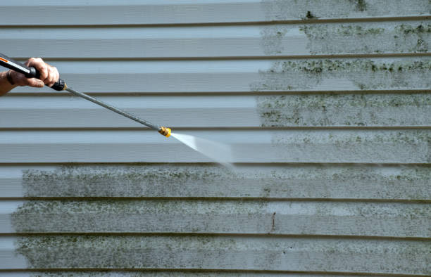 Best Roof Power Washing Services  in Edgar, WI